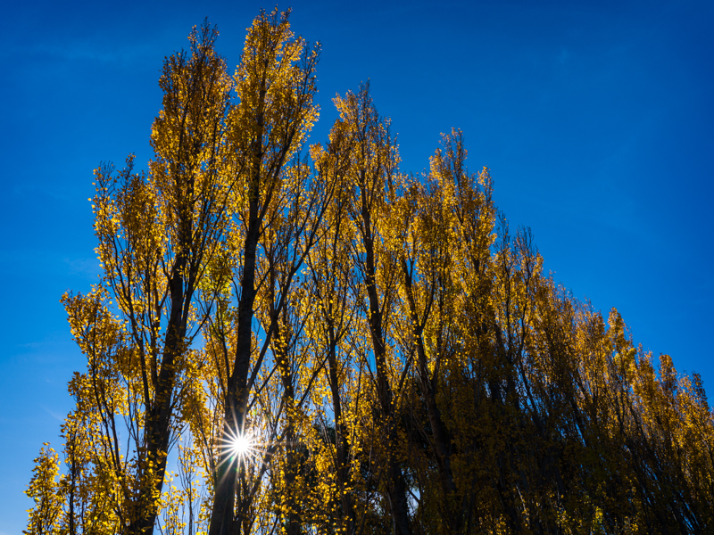  - New Zealand’s South Island - 2018