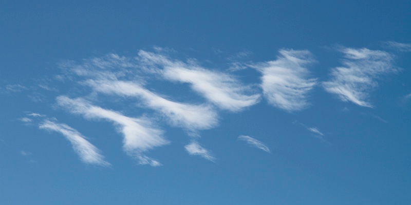 Brush Strokes - Home Skies