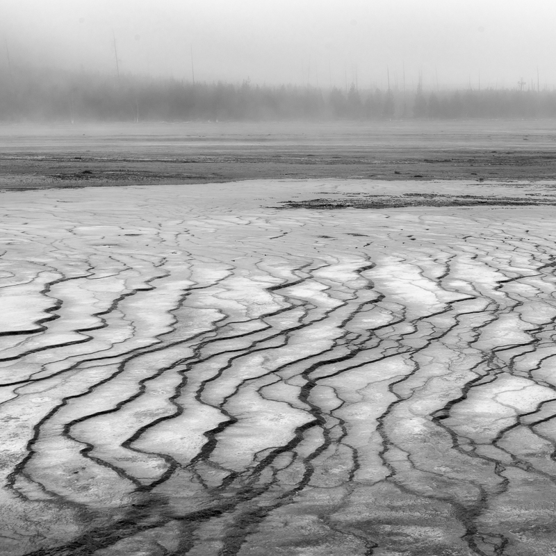 Lower Geyser Basin Striations - USA - 2016 - Wyoming and Washington