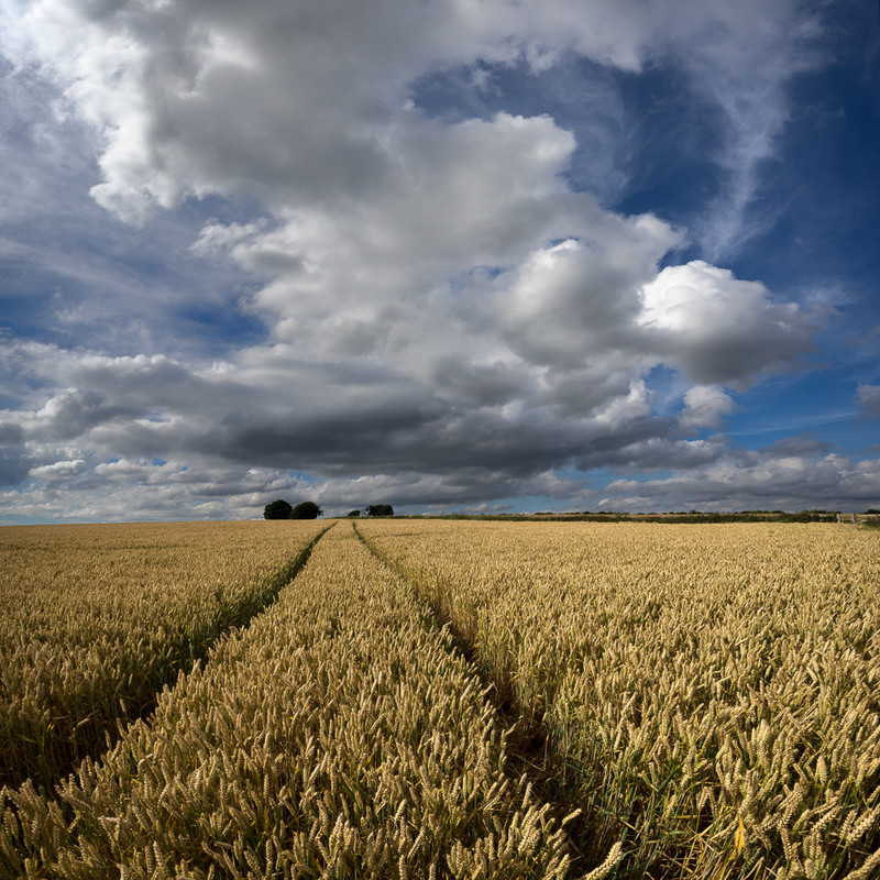 Day 35 - Almost Ready - On Bredon Hill - 2016