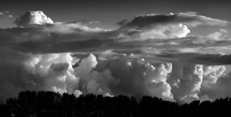 Home Sky - 011 - Home Skies