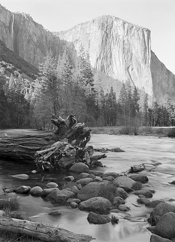 1715 - El Capitan - USA - 2008 - Yosemite & the West Coast