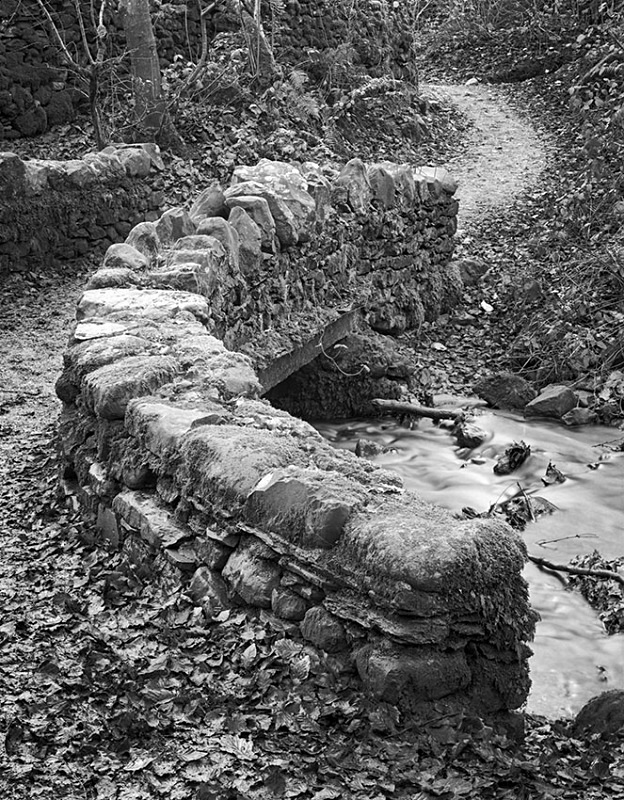 1011 - Footbridge - Images from England