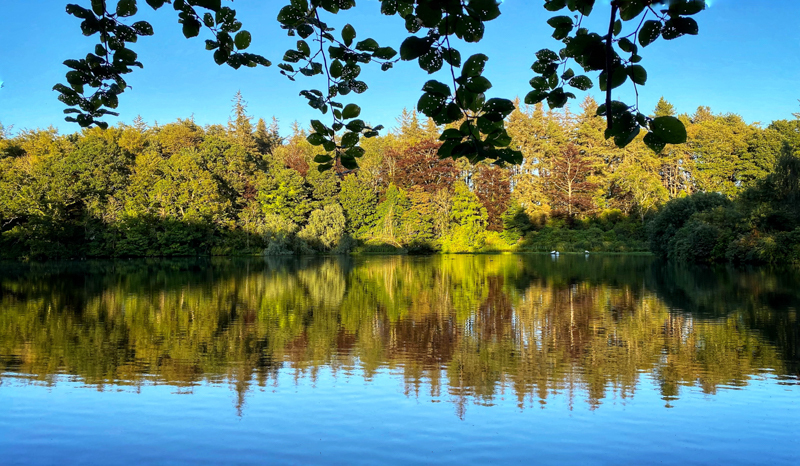 Doxford Lake - Whilst Out and About ...