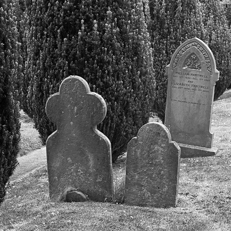 2133 - Yews  Gravestones - The Cotswold Way - 2009