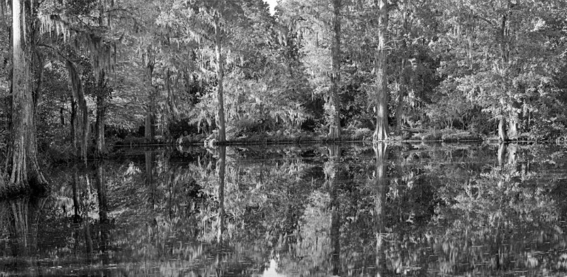1666 - Lake Reflections 3 - USA - 2007 - South Carolina & Georgia