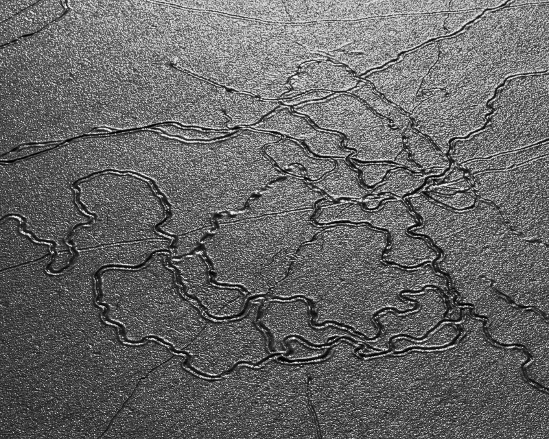 Snail Trails - Shi Shi Beach - USA - 2014 - California, Oregon, Washington