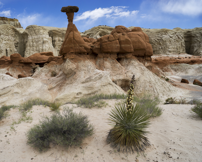 Lonely Hoodoo - USA - 2017 - CA, AZ, UT, CO, NM