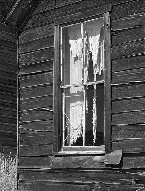 2114 - Tattered Drapes - USA - 2009 - California, Nevada & Utah NPs