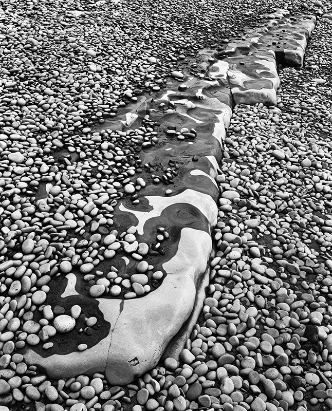 2302 - Pebbled Ledge - Glamorgan Coast