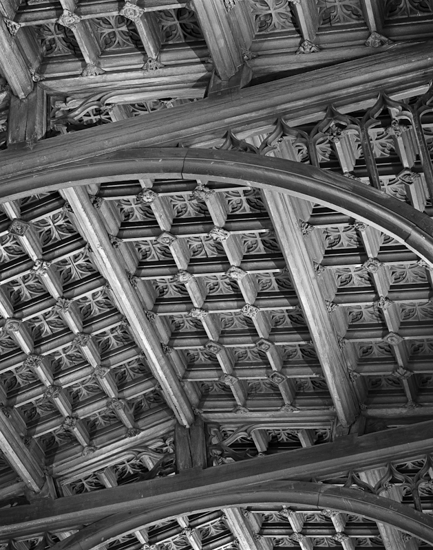 2561 - Nave Ceiling - Christ Church Cathedral - Cathedrals