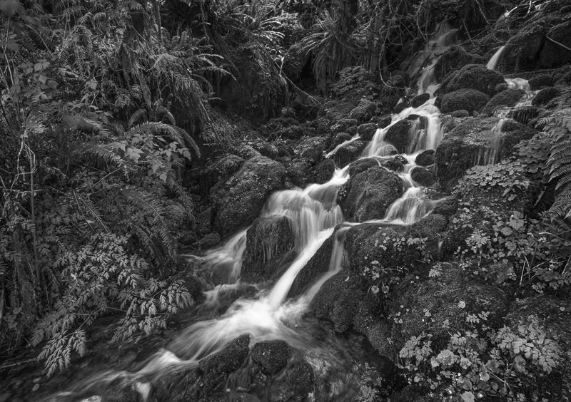 Over Rocks into Lake Quinault - USA - 2014 - California, Oregon, Washington