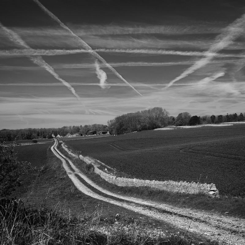 Day 24 - Tracks - On Bredon Hill - 2016