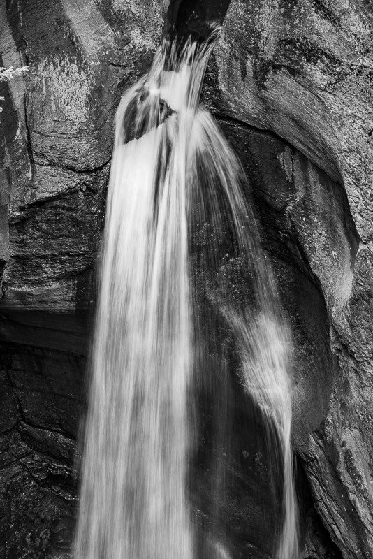 AB-Banff-Jasper-49 - Banff & Jasper NPs - September 2018