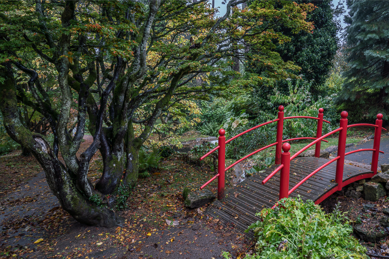 Batsford - 13 - Batsford Arboretum - October 2018