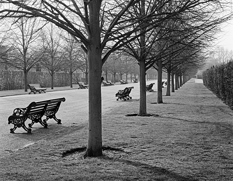 1386 - Regents Park Benches 1 - Images from England