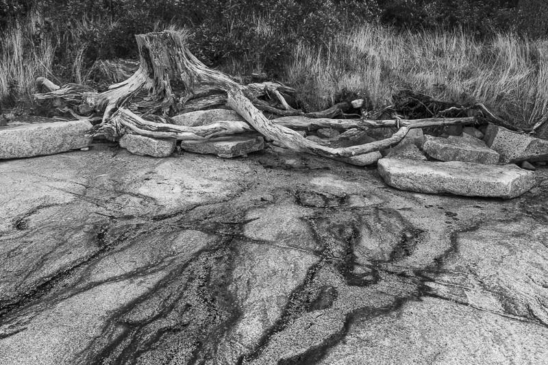 Stained Shore Rock - USA - 2013 - New England