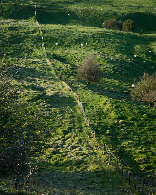 Day 20 - The Way Down - On Bredon Hill - 2016