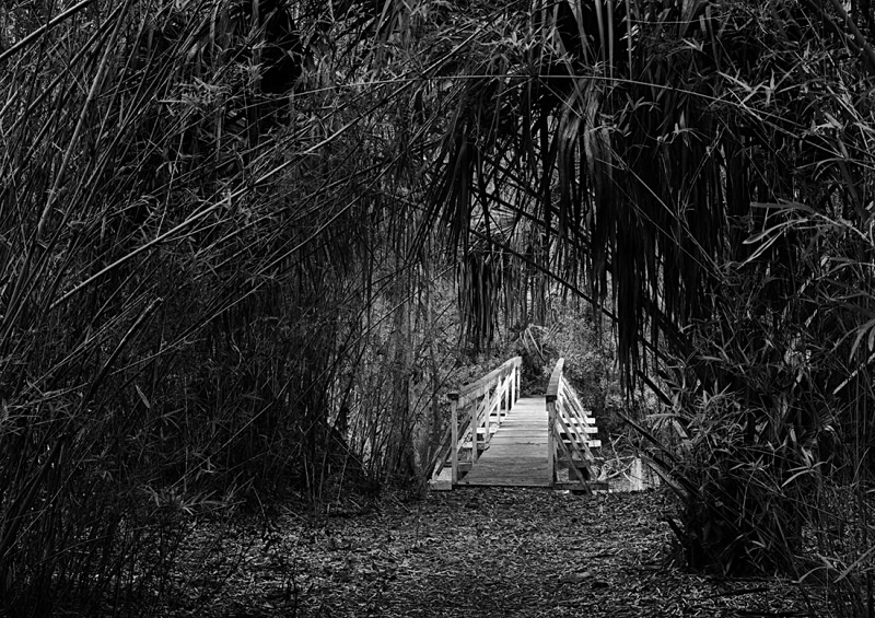 1622 - Sapelo Bridge 3 - USA - 2007 - South Carolina & Georgia