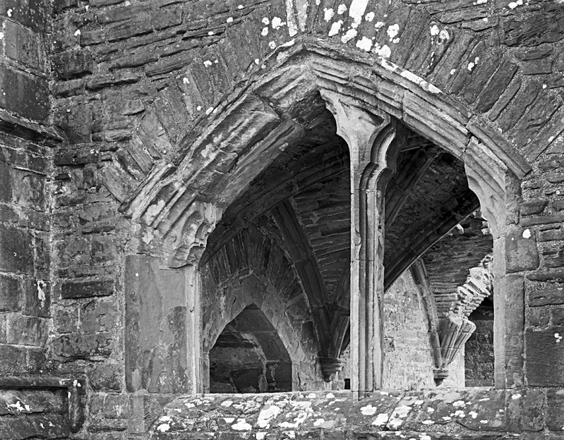 1459 - Tintern Abbey - Window - Churches, Chapels, Abbeys, and Priories