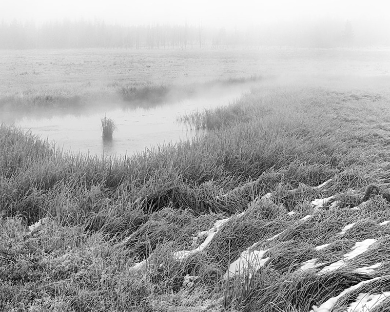 1141 - Misty Creek - USA - 2005 - Yellowstone NP & the Tetons