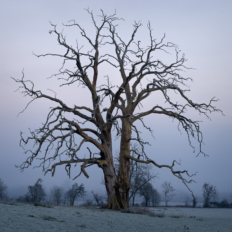 Day 4 - Deceased - On Bredon Hill - 2016