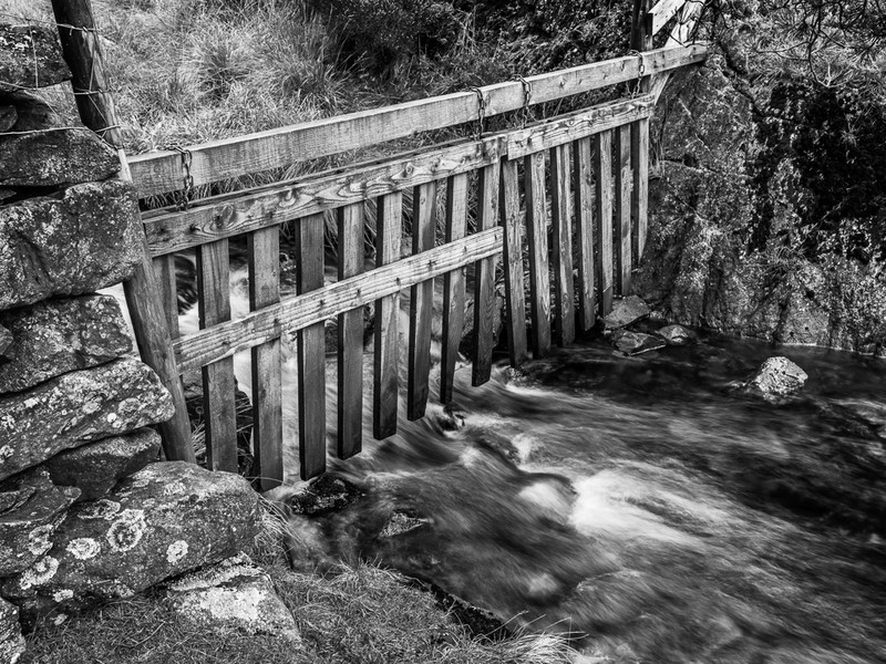 No Way for Sheep - Lake District - Prior to mid 2019