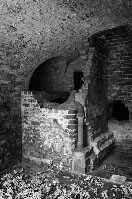 Pump House Ferns - Worcester Birmingham Canal