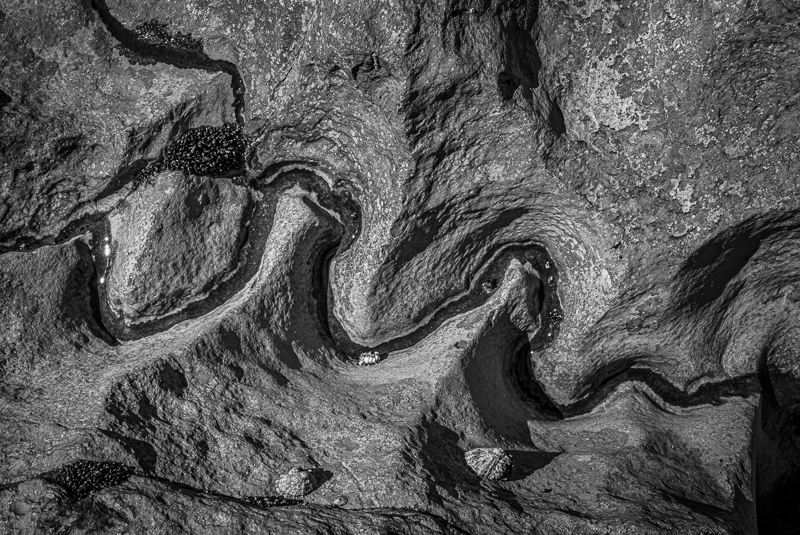 09-Mewslade - ARPS