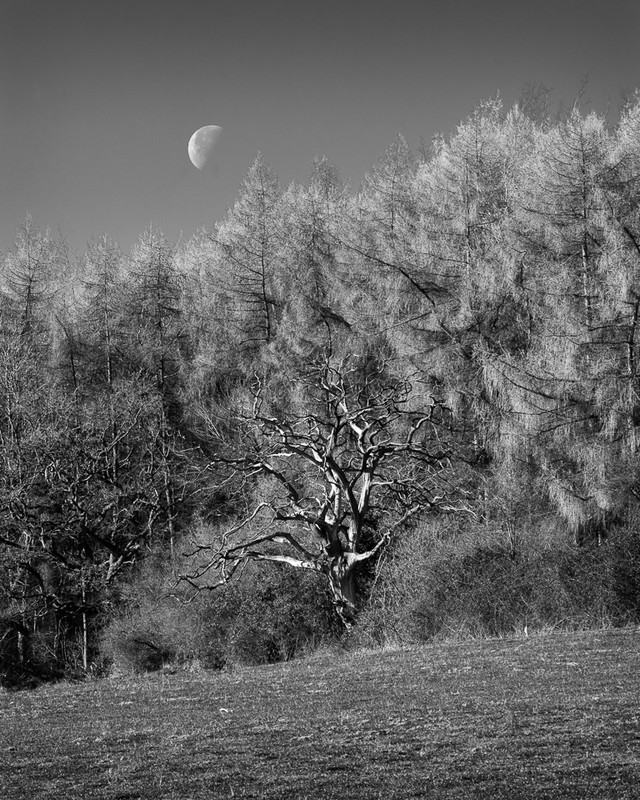 Day 16 - Moon - Last Quarter - On Bredon Hill - 2016