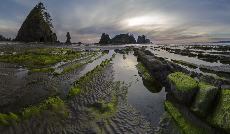 Point of Arches - Shi Shi Beach - 2 - USA - 2014 - California, Oregon, Washington