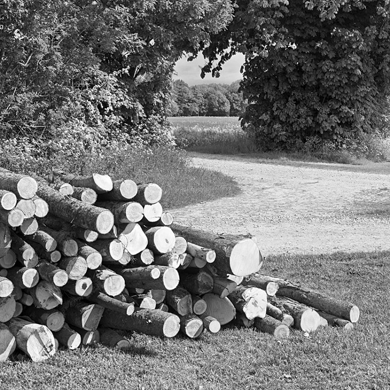 2129 - Log Pile - The Cotswold Way - 2009
