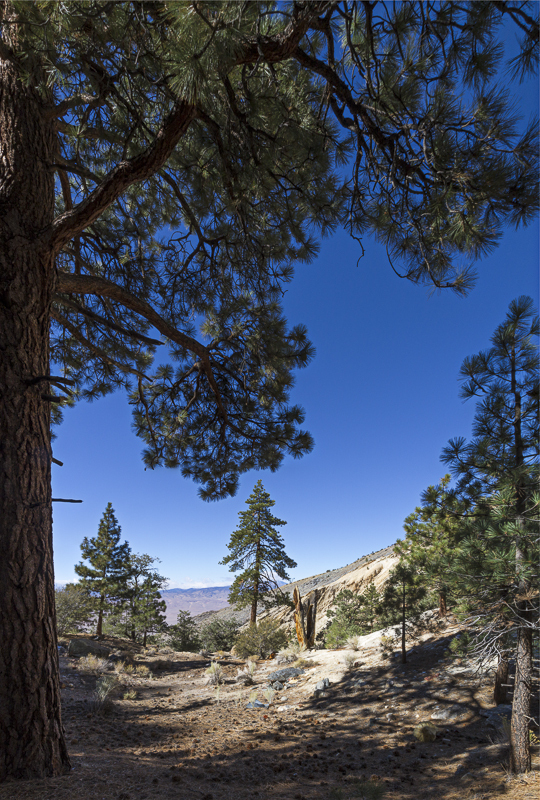 Eastern Sierras-34 - USA - 2012 - Eastern Sierras