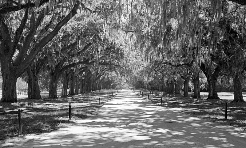 1654 - Oak Avenue 1 - USA - 2007 - South Carolina & Georgia