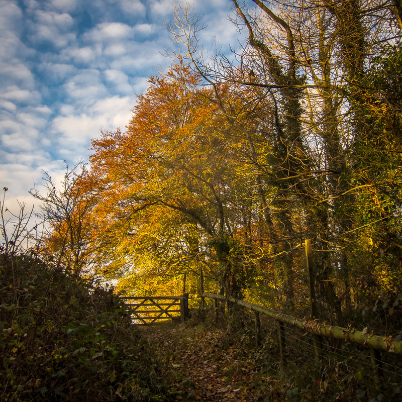 Day 48 - Autumnal Gate - On Bredon Hill - 2016