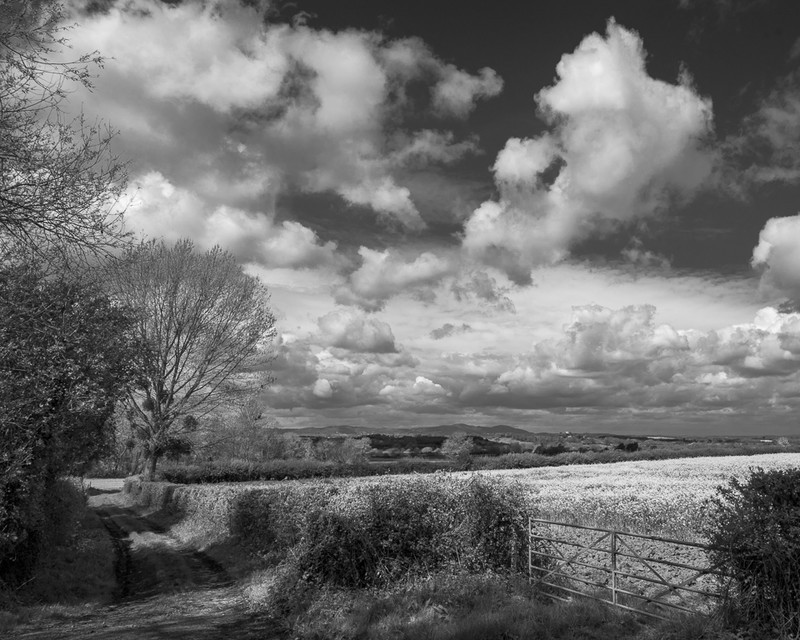 Day 22 - April Sky Over The Malverns - On Bredon Hill - 2016