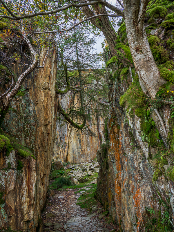 Slate Quarry Entrance - Lake District - October 2019