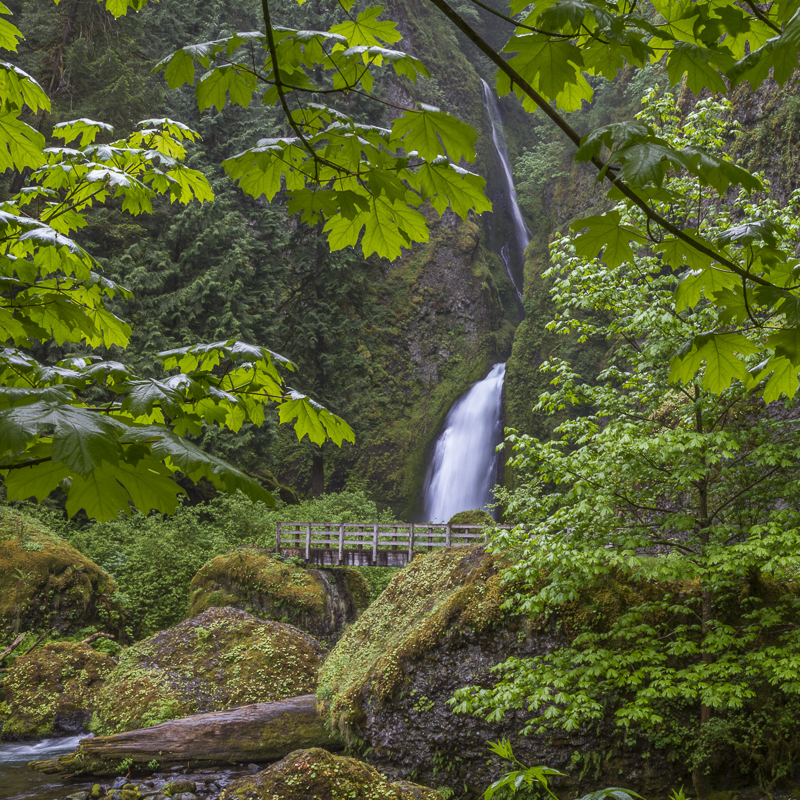 Bridge at Wahclella Falls - Colour - USA - 2014 - California, Oregon, Washington
