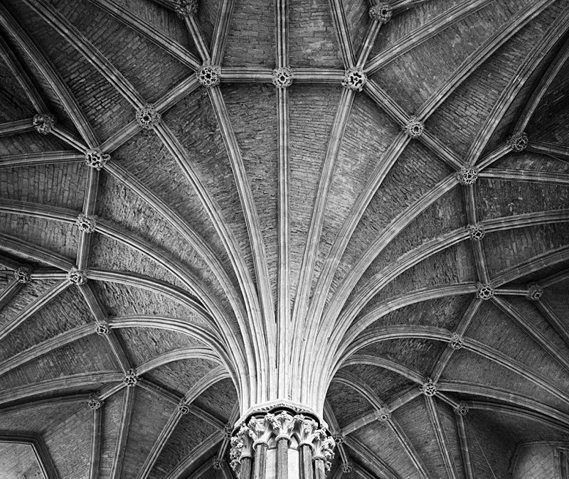 1887 - Lincoln Cathedral - Chapter House 2 - Cathedrals