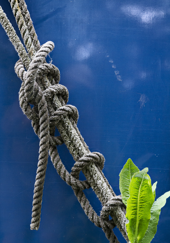 Rope - Worcester Birmingham Canal