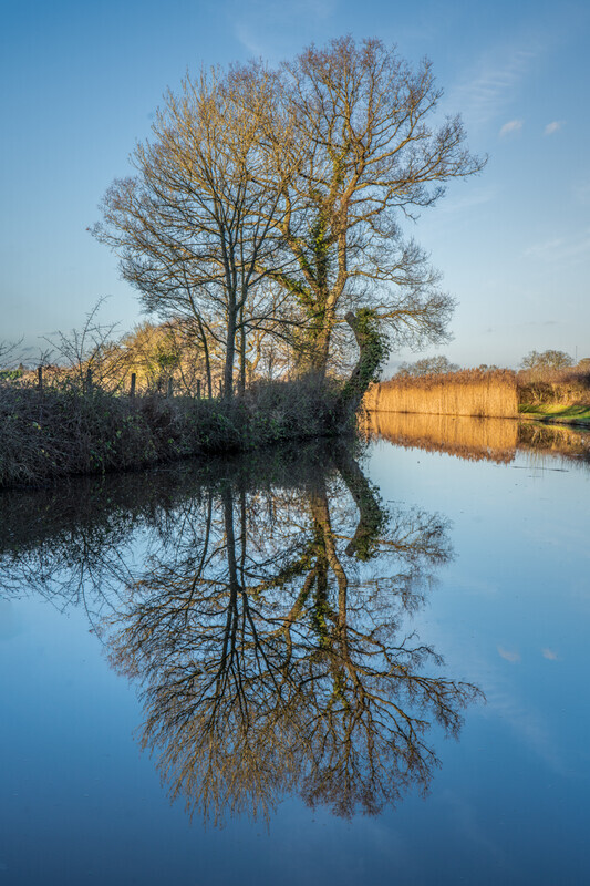 Reflected - Droitwich & Worcester Canals & River Severn