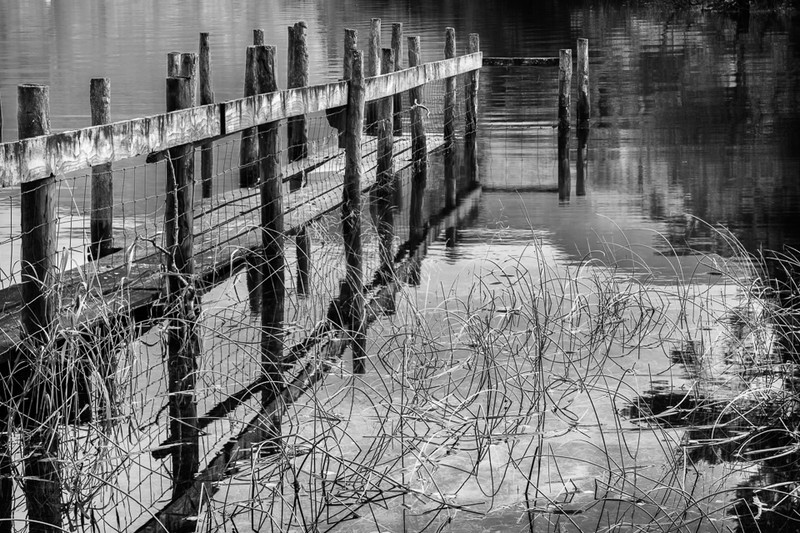 Derwentwater Jetty and Grasses - Lake District - Prior to mid 2019