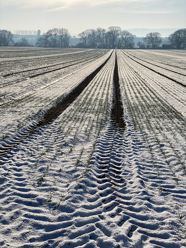 SnowField - Whilst Out and About ...