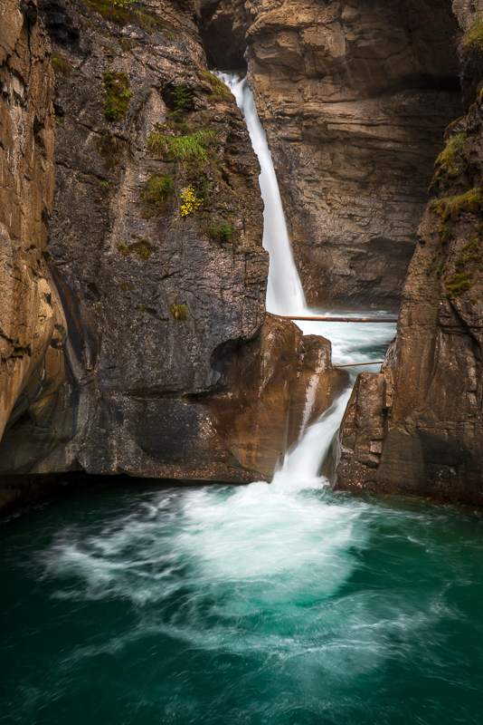 AB-Banff-Jasper-37 - Banff & Jasper NPs - September 2018