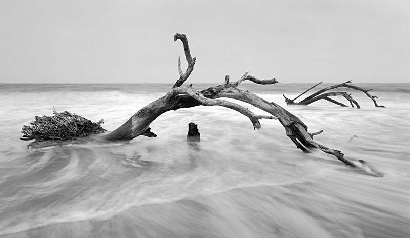 1586 - Two Tree Surf 2 - USA - 2007 - South Carolina & Georgia