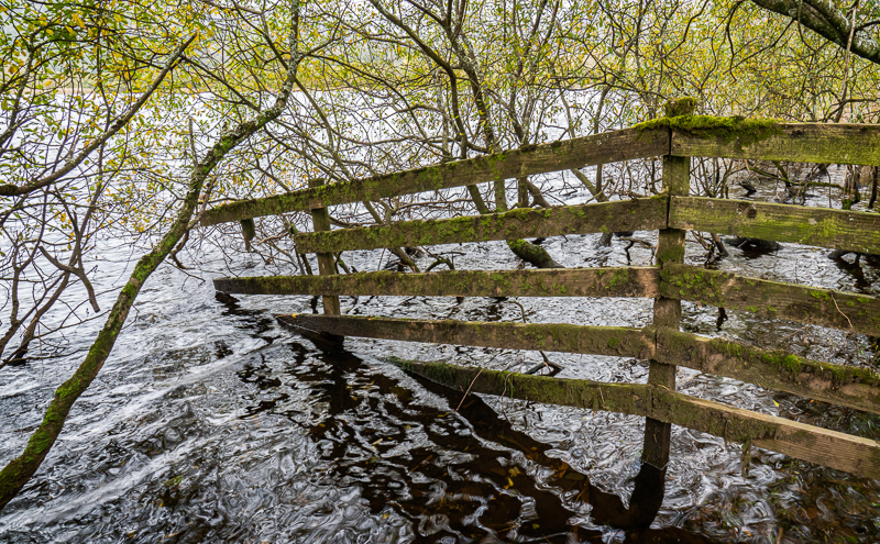 Elter Water Fence - Lake District - October 2019
