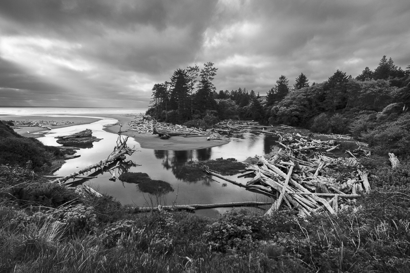 Estuary - Kalaloch Creek - USA - 2014 - California, Oregon, Washington