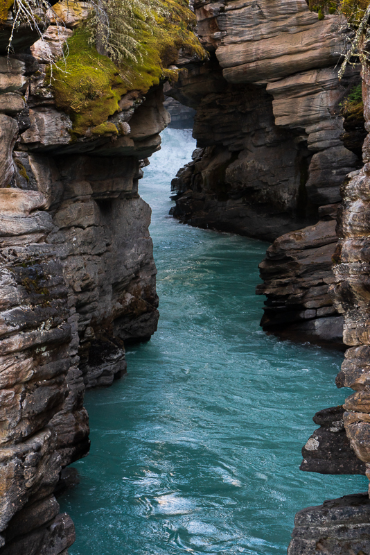 AB-Banff-Jasper-42 - Banff & Jasper NPs - September 2018