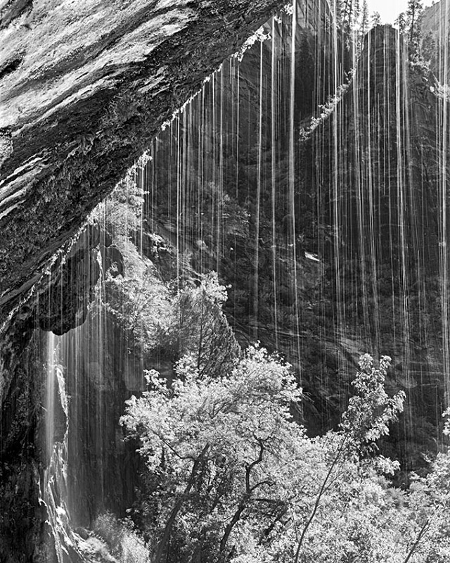 0230 - Weeping Rock - USA - 1996 to 2004 - Utah, Nevada, New Mexico, Arizona & Colorado