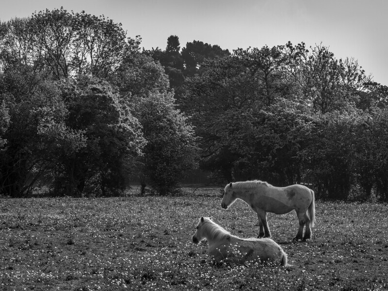 Both Fast Asleep - Droitwich & Worcester Canals & River Severn